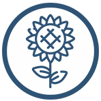 girasol