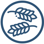 trigos